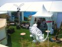 Lounge outside of a film festival tent